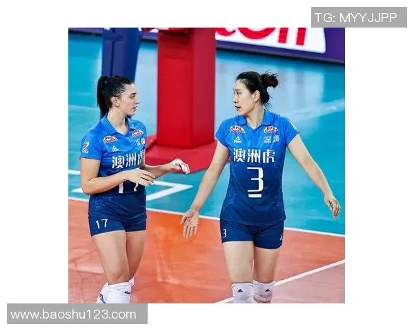 深圳排球队在挑战赛中的耐力表现分析与总结